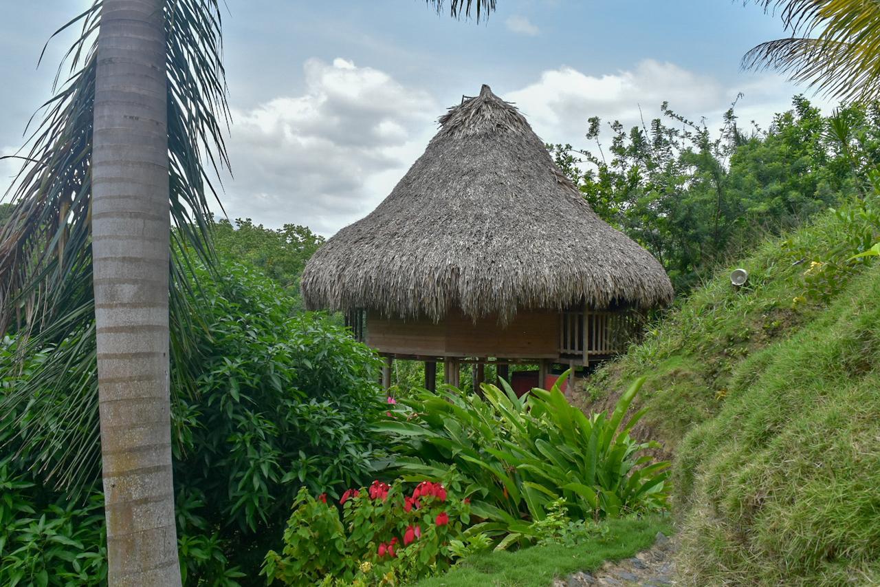 Ecohabs Bosques Del Tayrona Hotel Calabazo  ภายนอก รูปภาพ
