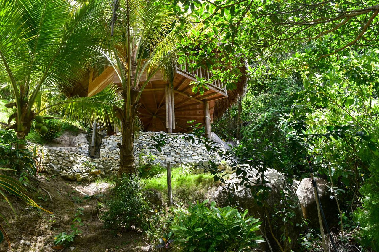 Ecohabs Bosques Del Tayrona Hotel Calabazo  ภายนอก รูปภาพ