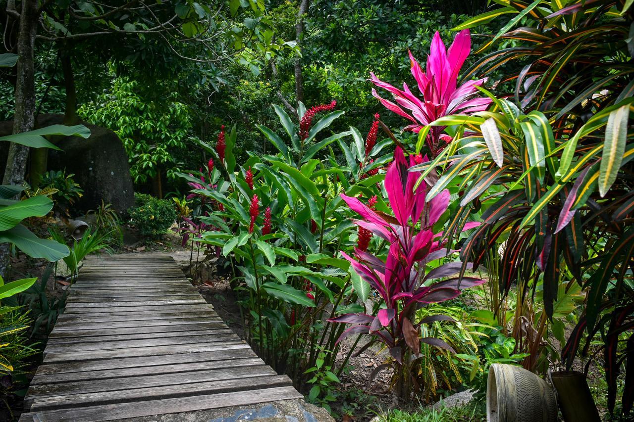 Ecohabs Bosques Del Tayrona Hotel Calabazo  ภายนอก รูปภาพ