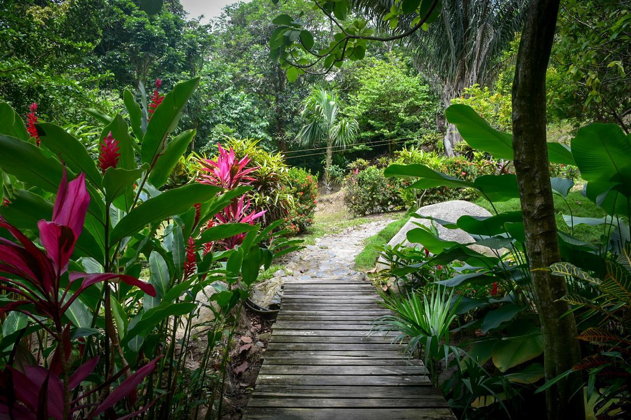 Ecohabs Bosques Del Tayrona Hotel Calabazo  ภายนอก รูปภาพ