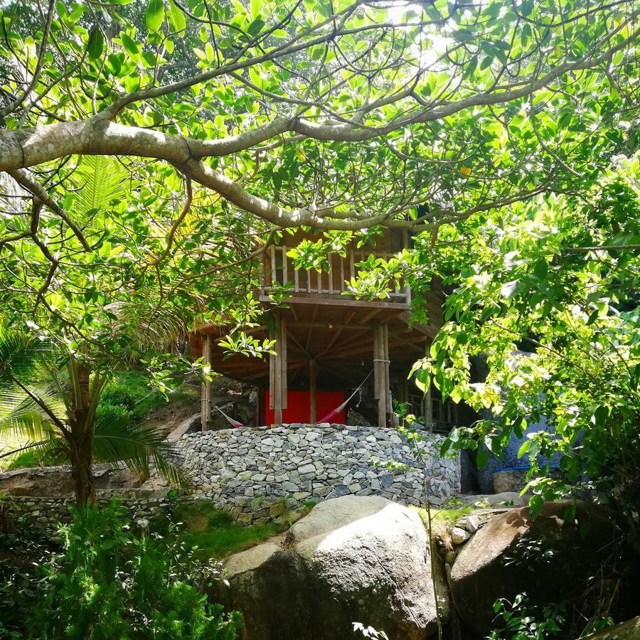 Ecohabs Bosques Del Tayrona Hotel Calabazo  ภายนอก รูปภาพ