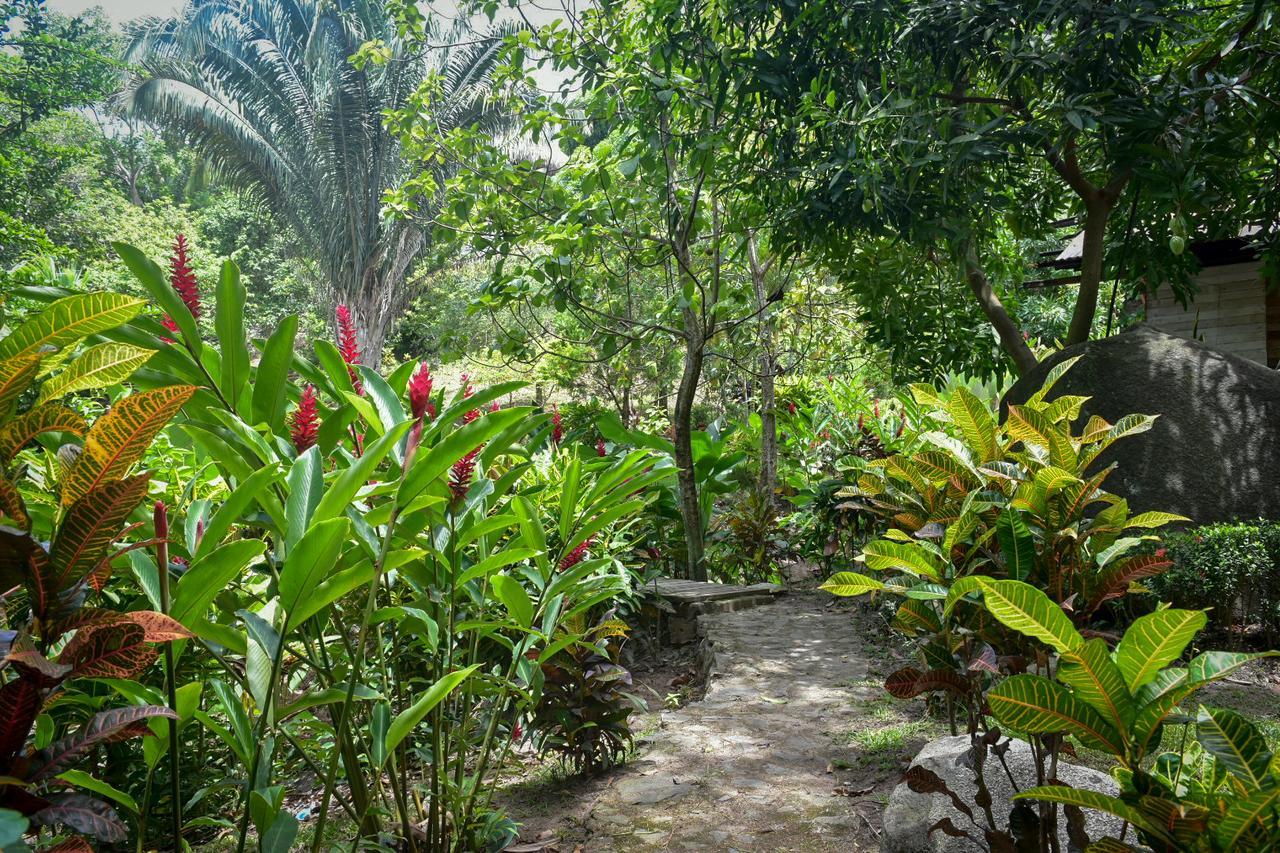 Ecohabs Bosques Del Tayrona Hotel Calabazo  ภายนอก รูปภาพ