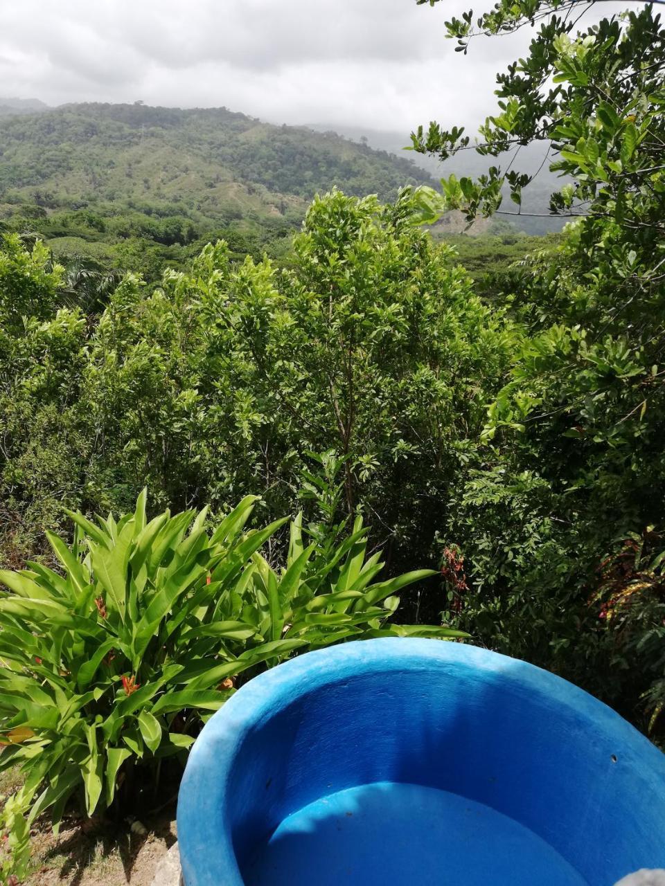 Ecohabs Bosques Del Tayrona Hotel Calabazo  ภายนอก รูปภาพ