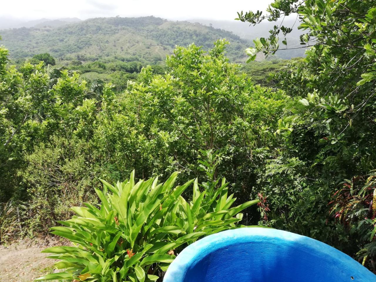 Ecohabs Bosques Del Tayrona Hotel Calabazo  ภายนอก รูปภาพ