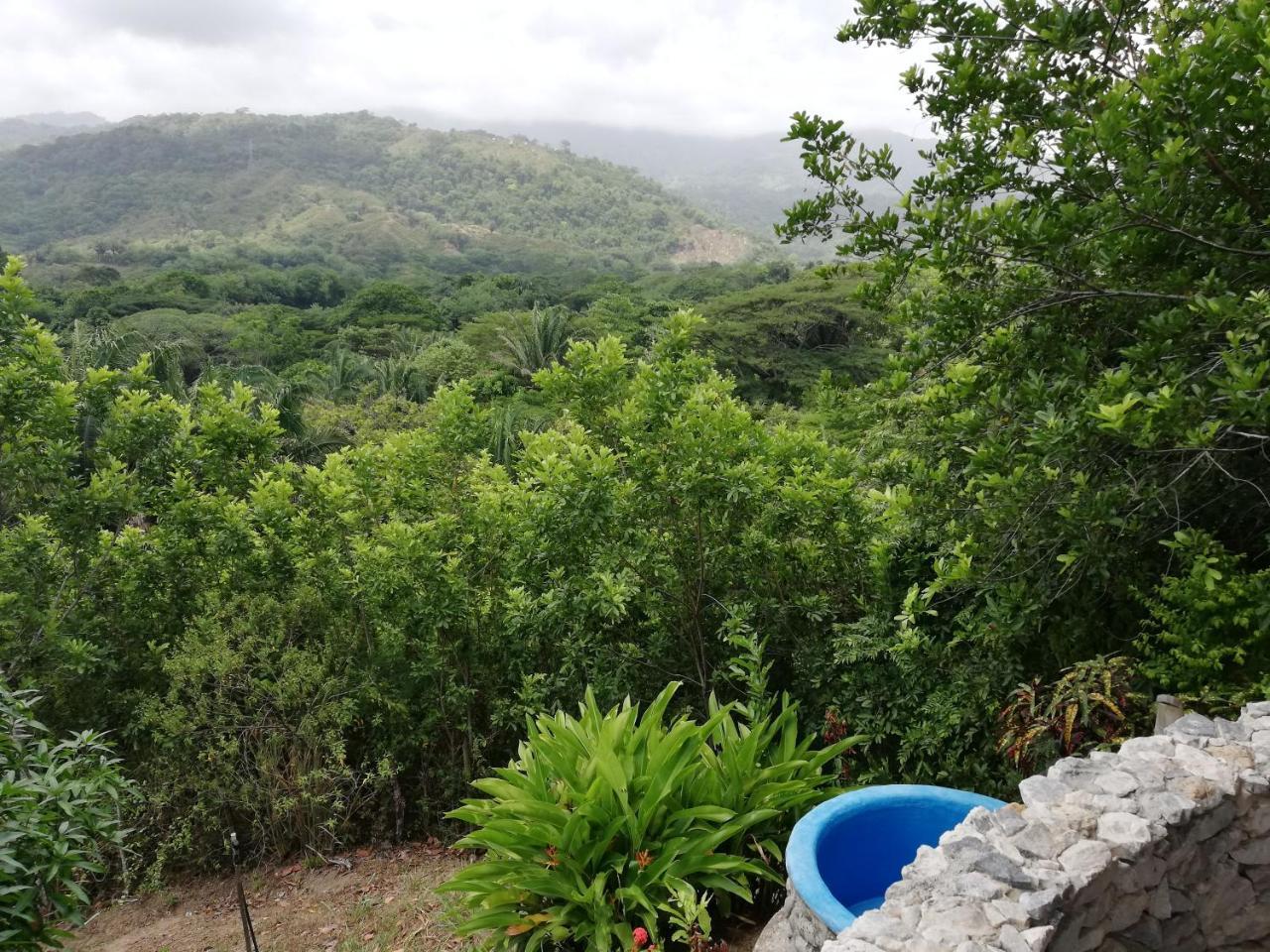 Ecohabs Bosques Del Tayrona Hotel Calabazo  ภายนอก รูปภาพ